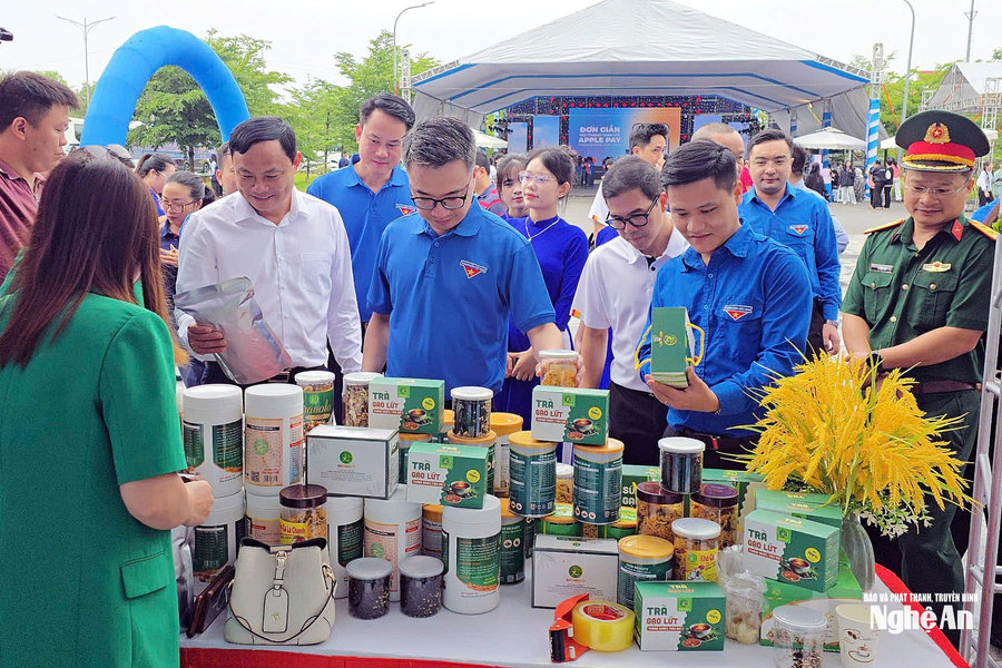 Nghệ An phấn đấu có từ 30 đến 50 sản phẩm OCOP, sản phẩm chủ lực được quảng bá trên các nền tảng quốc tế