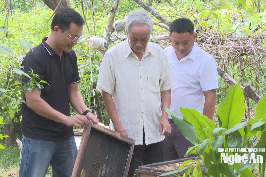 Khi "thủ lĩnh" khối xóm là những người trẻ