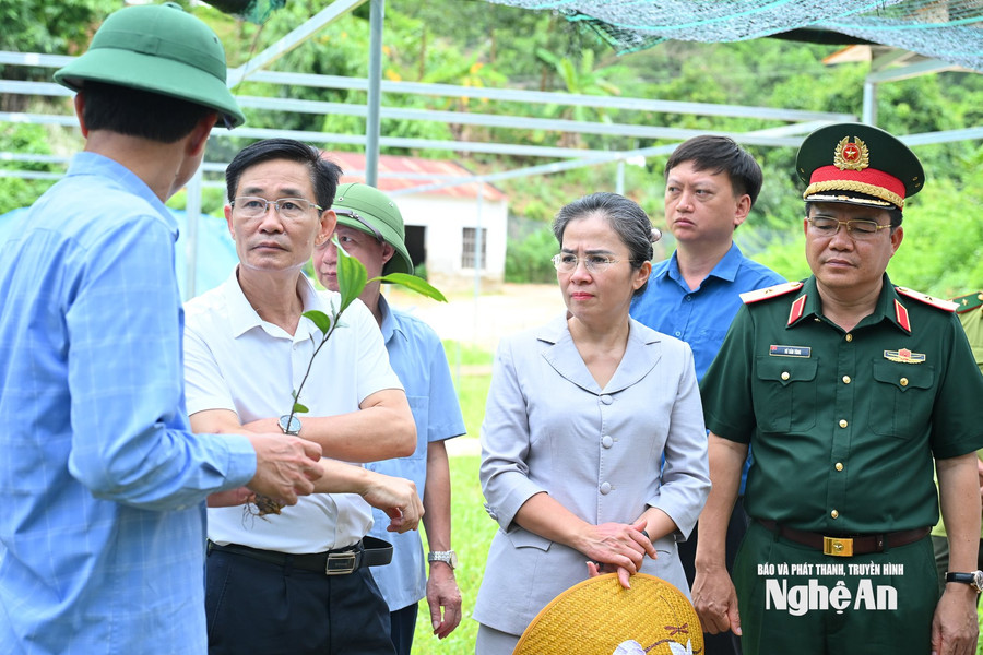 Phó Bí thư Tỉnh ủy Võ Thị Minh Sinh làm việc với các xã khu vực Quế Phong về tình hình phát triển dược liệu
