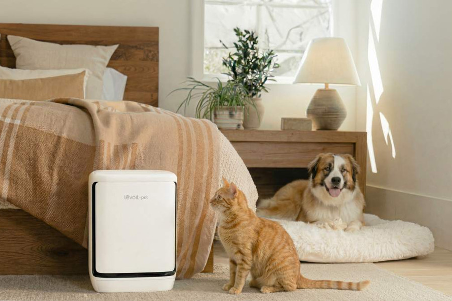 Levoit Vital Pet Pro: Giải pháp tự làm sạch màng lọc và khử mùi chuyên sâu cho nhà nuôi thú cưng