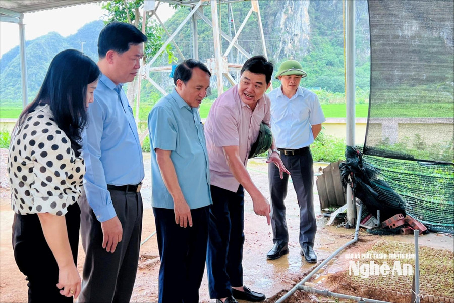 Đoàn giám sát số 1 của Thường trực HĐND tỉnh làm việc tại xã Anh Sơn