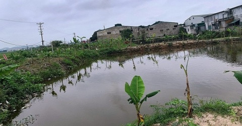 Sản xuất gây ô nhiễm môi trường xảy ra tại phường Vinh Lộc
