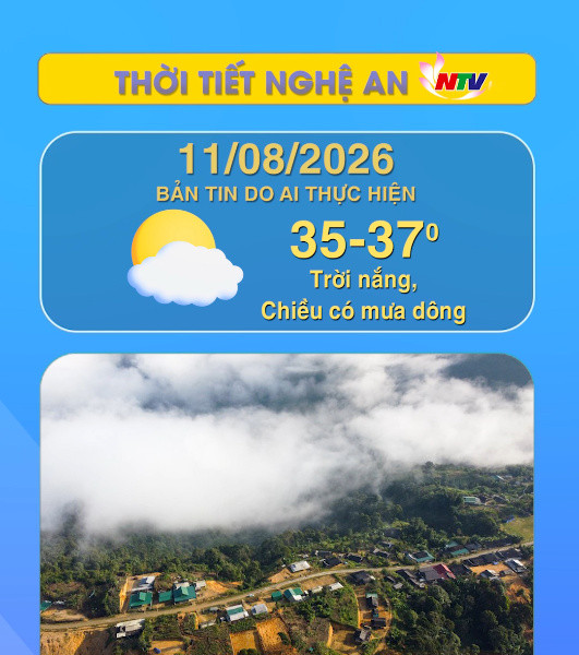 Thời tiết Nghệ An hôm nay 11/8/2026