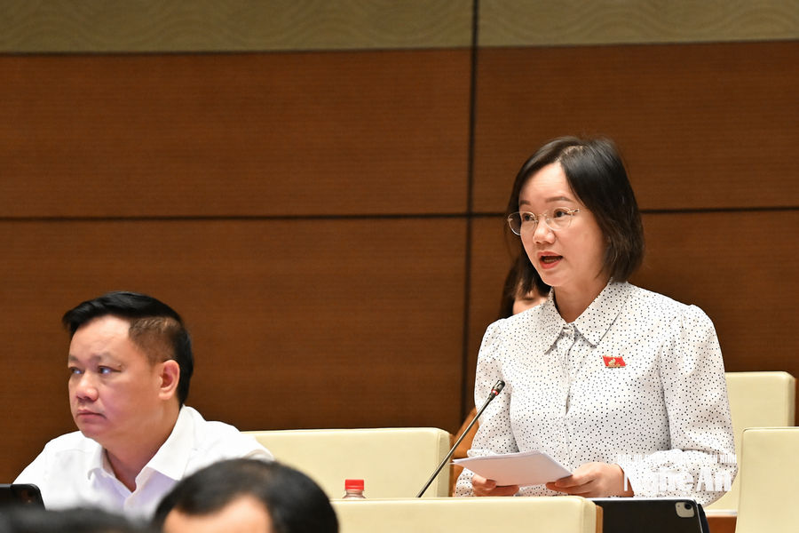 ĐBQH tỉnh Nghệ An đề nghị hoàn thiện quy định về trách nhiệm bồi thường của Nhà nước