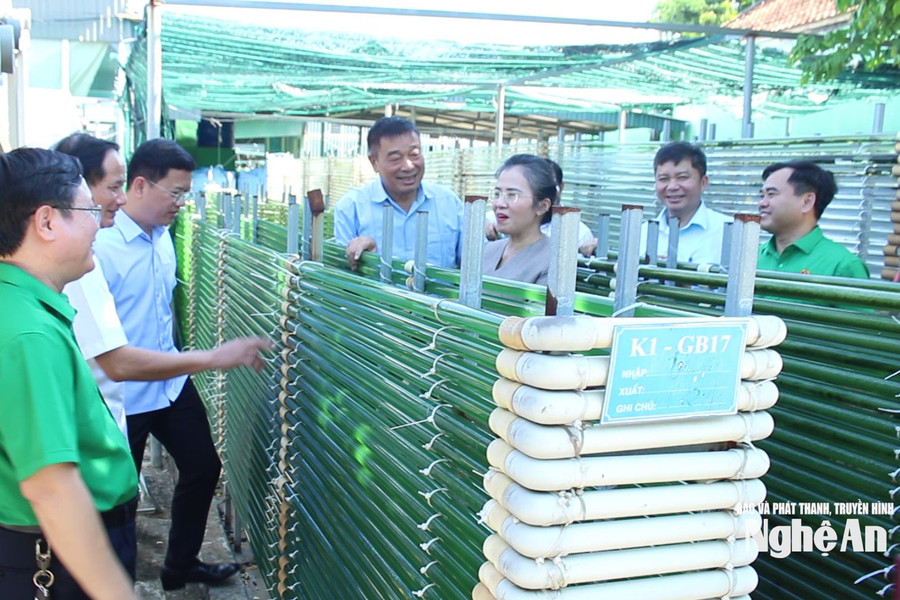 Phó Bí thư Tỉnh ủy Võ Thị Minh Sinh làm việc với Công ty Cổ phần Khoa học Công nghệ Tảo Việt Nam