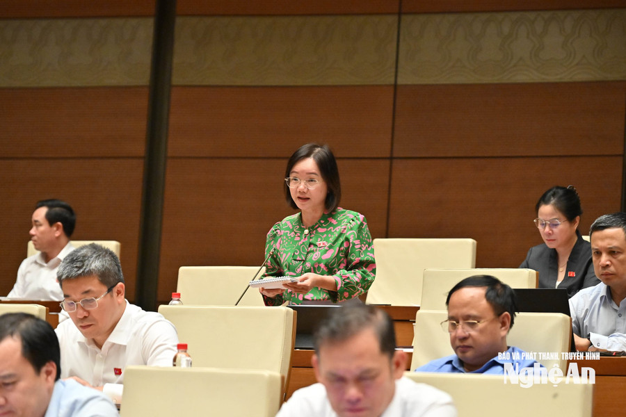 ĐBQH tỉnh Nghệ An đề xuất tháo gỡ điểm nghẽn thủ tục trong nông nghiệp và môi trường