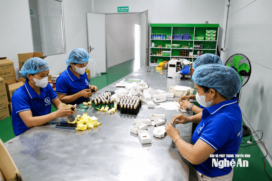 Câu lạc bộ hợp tác xã: Kết nối để cùng phát triển