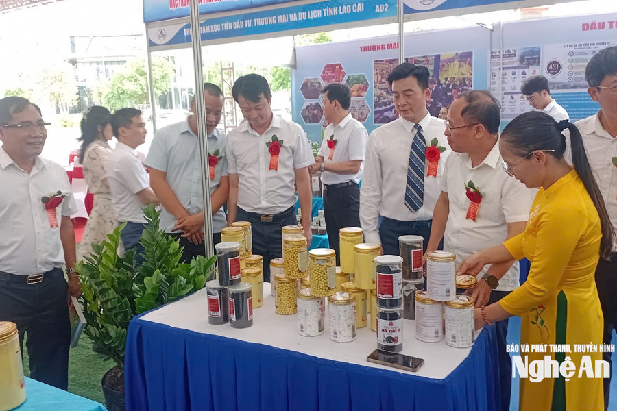 Khai mạc Tuần lễ nhận diện nông sản an toàn, sản phẩm OCOP tỉnh Lào Cai tại Nghệ An