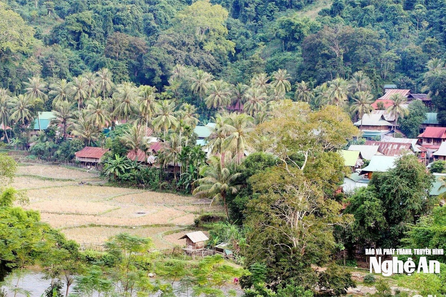 Khẩn trương lên phương án đảm bảo an toàn cho người dân vùng lũ quét, sạt lở đất