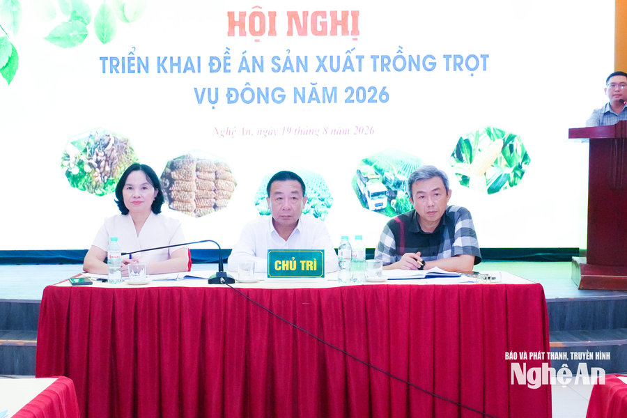 Nghệ An: Lấy thị trường làm trung tâm trong sản xuất vụ Đông 2026