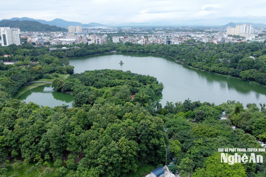 Tăng cường công tác phòng, chống ngập úng và bảo đảm an toàn hệ thống cây xanh đô thị