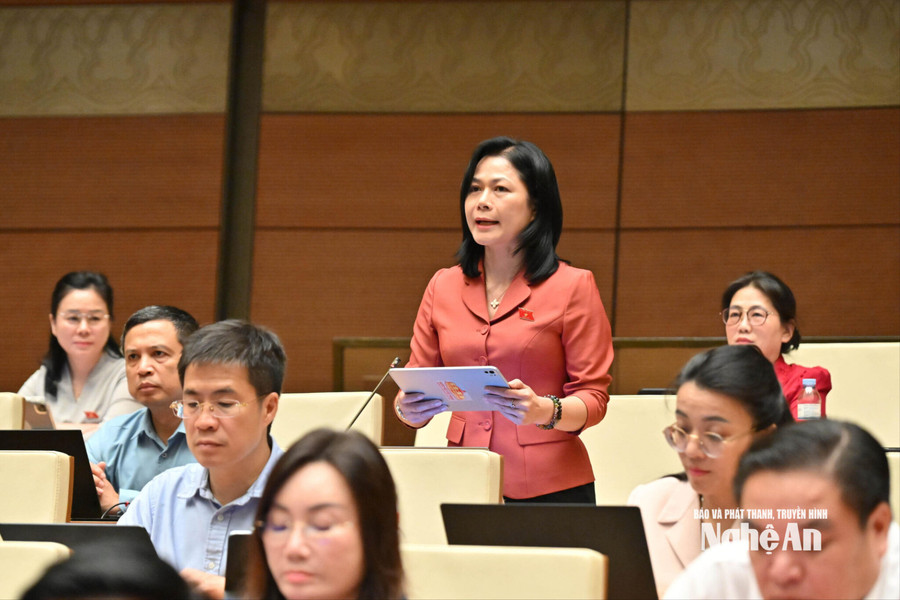 ĐBQH Vũ Thị Lan Anh: Siết kỷ luật ngân sách, tăng cường đánh giá rủi ro tài khóa