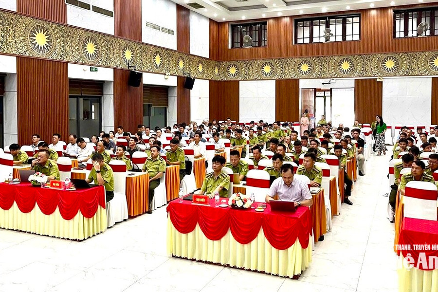 Tập huấn quy định mới về xử phạt vi phạm hành chính trong lĩnh vực lâm nghiệp và truy xuất nguồn gốc lâm sản