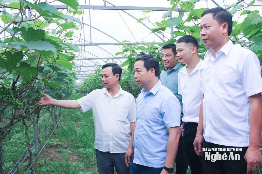 Nêu gương cán bộ, đảng viên: Nền tảng xây dựng văn hóa công vụ