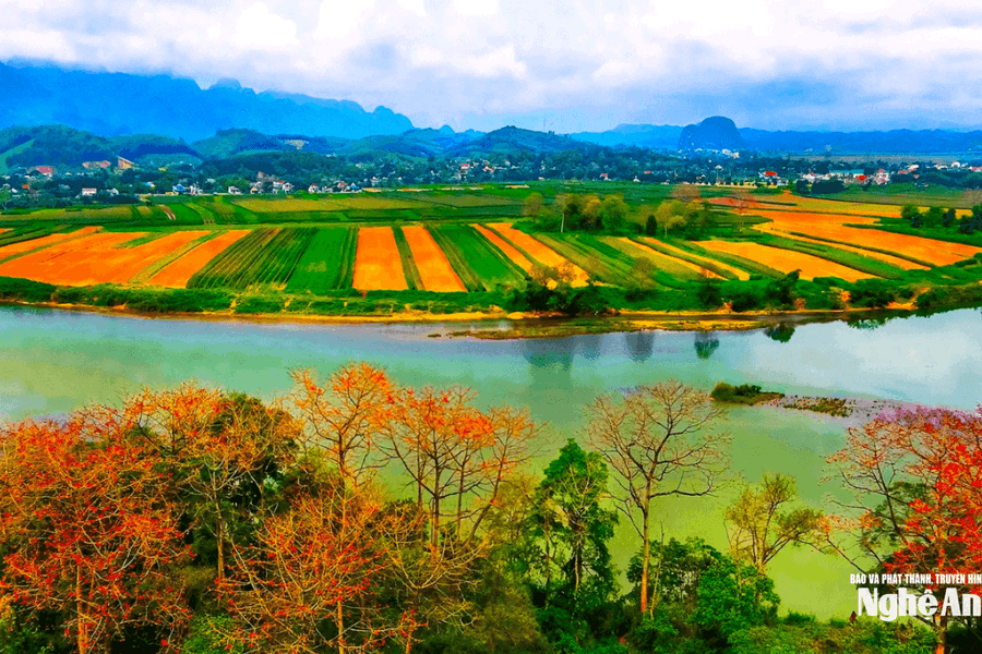 Đánh thức 'vàng xanh' từ cánh rừng và đồng ruộng Nghệ An