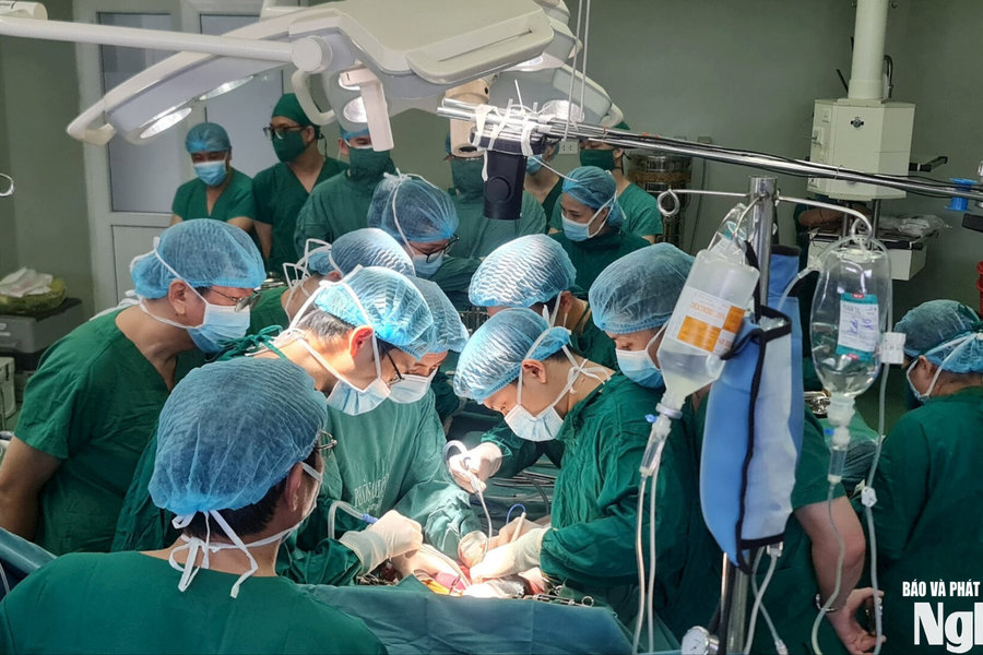 UBND tỉnh Nghệ An yêu cầu nghiêm túc kiểm soát chi phí khám, chữa bệnh Bảo hiểm y tế