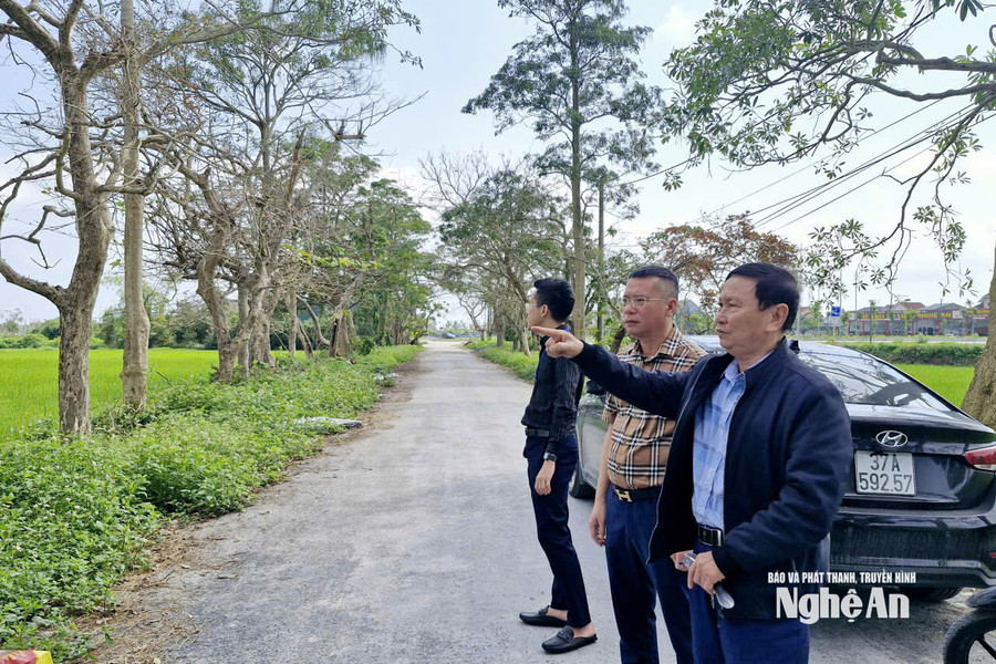Thanh tra dự án của Công ty CP Golf biển Cửa Lò ở phường Vinh Phú