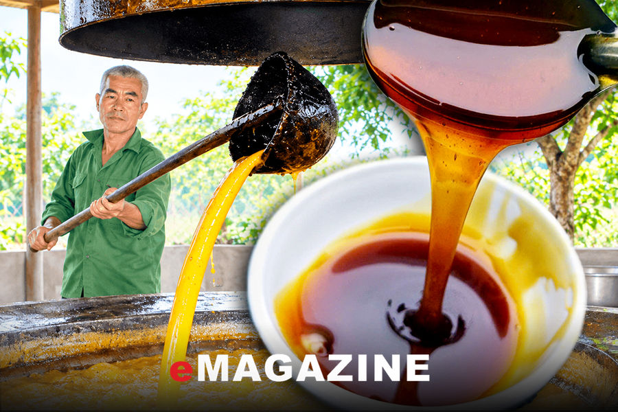Những mùa mật mía bên dòng sông Con