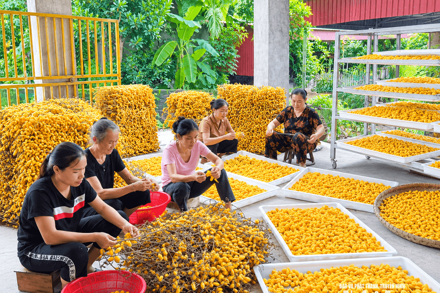 Hội Nông dân tỉnh hỗ trợ hội viên tự chủ sản xuất