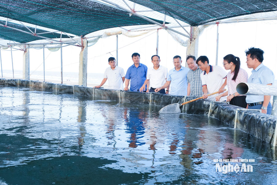 Vai trò cấp ủy trong tăng trưởng 2 con số