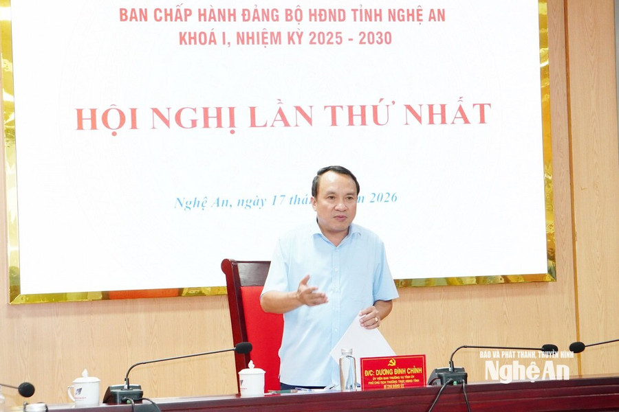 Đảng bộ Hội đồng nhân dân tỉnh tổ chức Hội nghị Ban Chấp hành lần thứ nhất