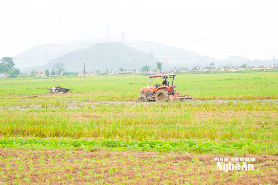 Khẩn trương khôi phục sản xuất sau mưa lũ
