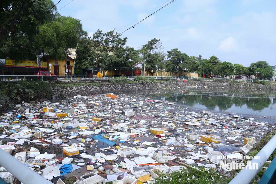 Hào Thành Vinh ngập ngụa rác sau trận mưa lịch sử