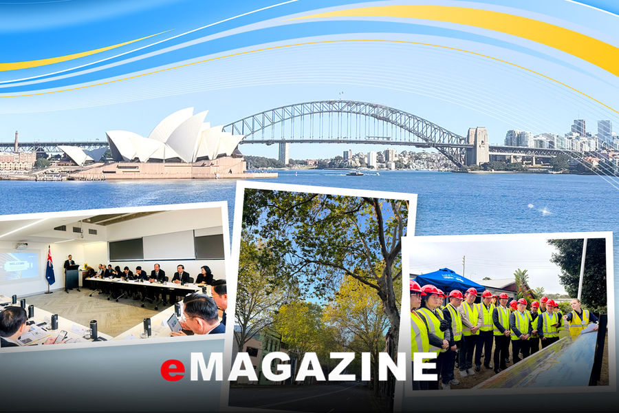 Mười hai ngày ở Sydney