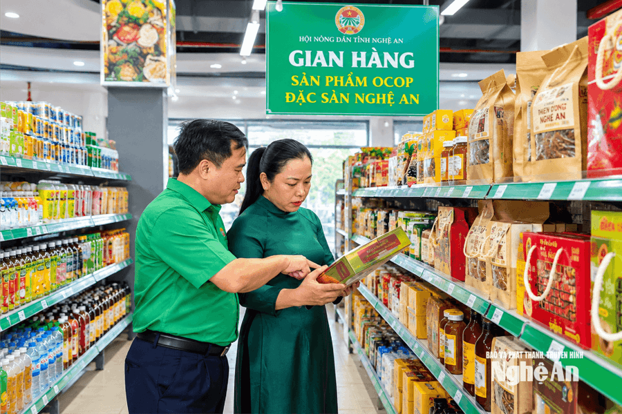 Nghệ An bồi dưỡng nhân lực dẫn dắt kinh tế nông nghiệp