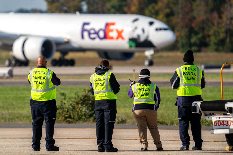 Trung Quốc nối lại chiến lược 'ngoại giao gấu trúc' với Mỹ