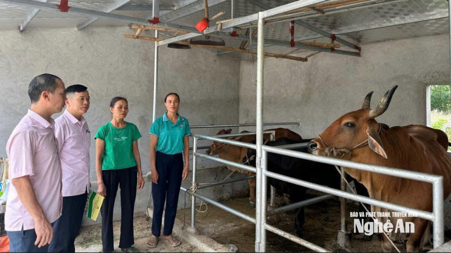 Nguồn vốn chính sách - đòn bẩy để nông dân vươn lên