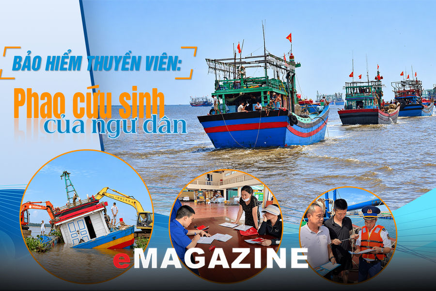 Bảo hiểm thuyền viên: Phao cứu sinh của ngư dân - Kỳ 1: Điểm tựa cho những chuyến vươn khơi