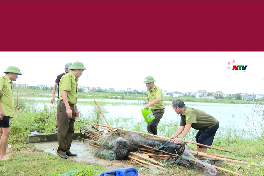 Nghệ An tổ chức gần 600 đợt truy quét nạn bẫy bắt chim trời