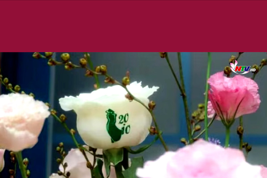 Hoa hồng Ecuador và các dòng hoa in chữ hút khách ngày 20/10