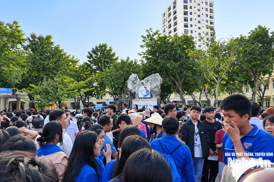 Nghệ An: 'Lộ diện' các thủ khoa học sinh giỏi tỉnh lớp 12