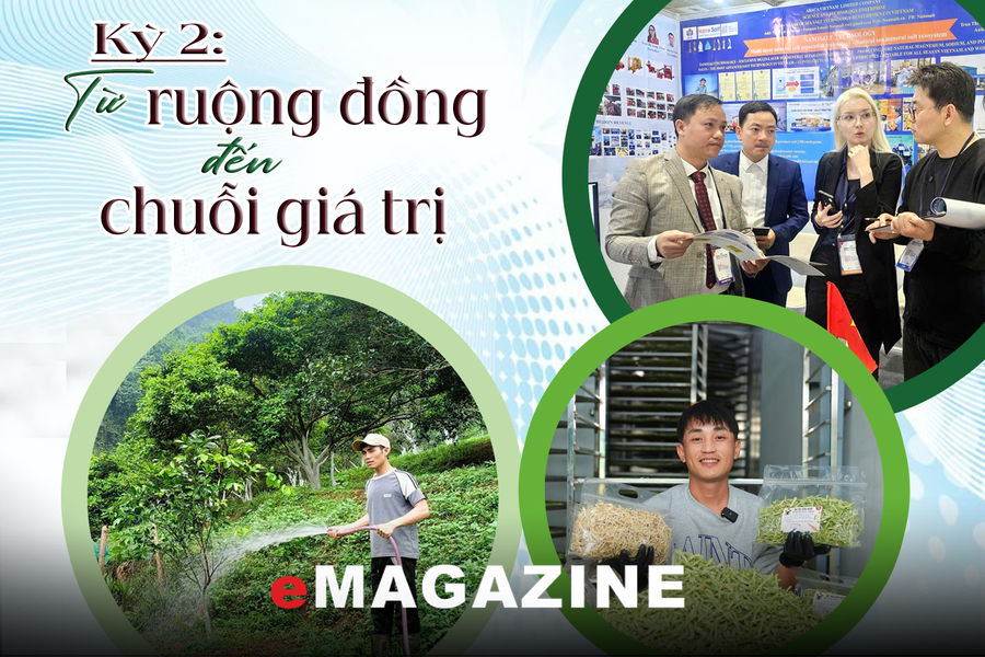 Những nông dân thế hệ mới - Kỳ 2: Từ ruộng đồng đến chuỗi giá trị