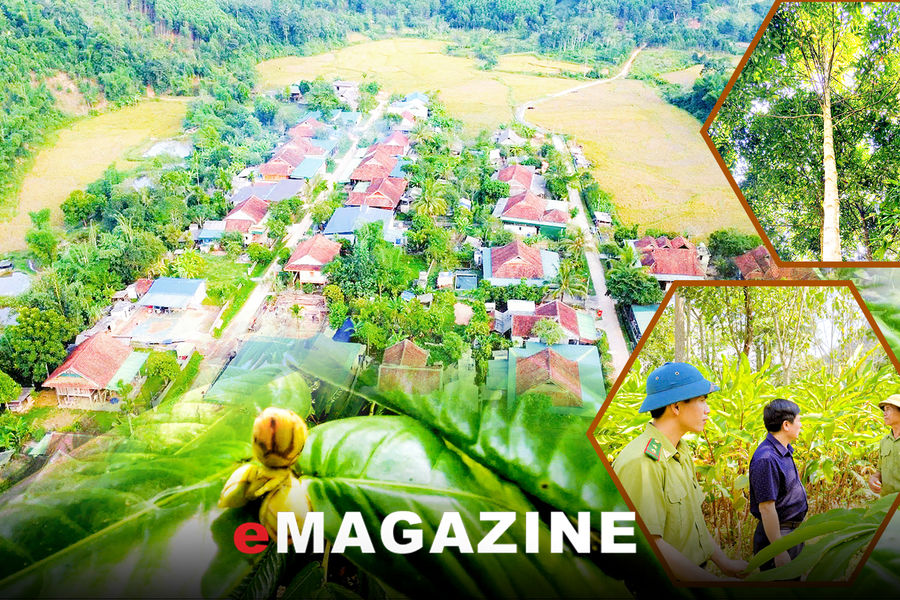Na Hứm, một miền dược liệu...