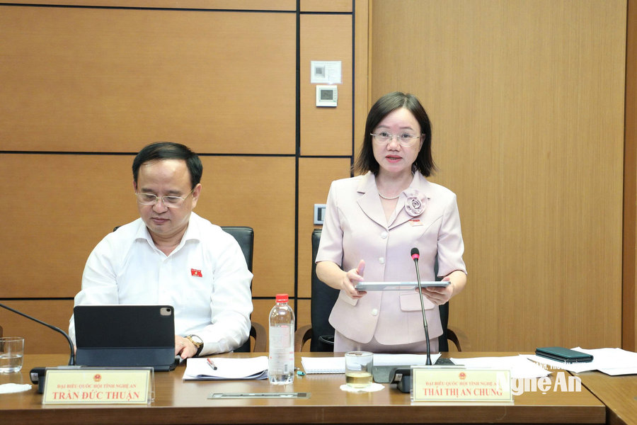 Đại biểu Quốc hội tỉnh Nghệ An đề nghị siết quy định về dữ liệu, định danh điện tử
