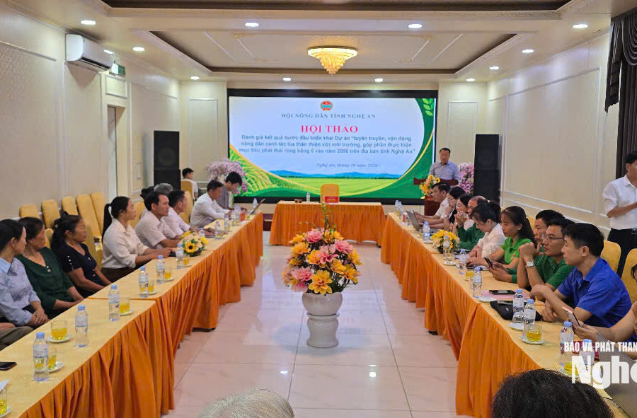 Canh tác lúa thân thiện môi trường, tiến gần mục tiêu Net Zero 2050