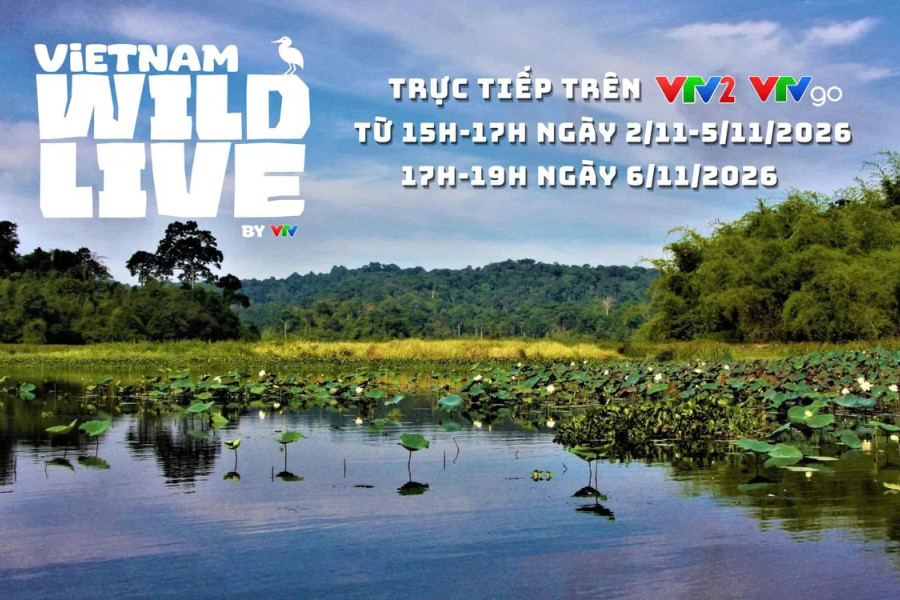 Vietnam Wild Live mùa 2 đưa thế giới hoang dã Vườn Quốc gia Cát Tiên lên sóng trực tiếp VTV2