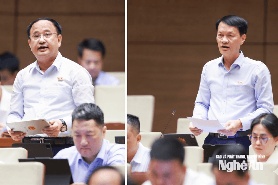 ĐBQH đoàn Nghệ An đề nghị siết trách nhiệm chủ đầu tư, bảo vệ người mua bất động sản