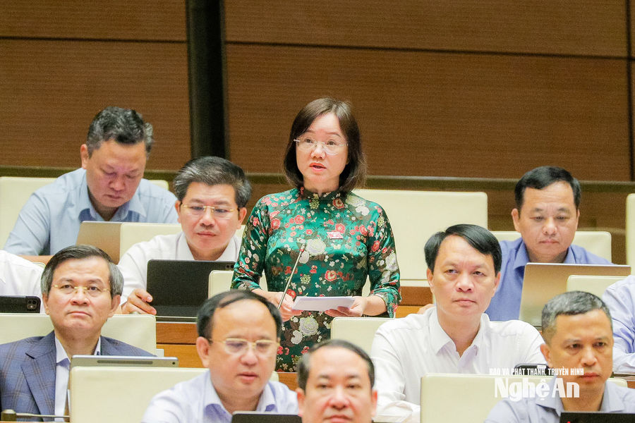 Đại biểu Thái Thị An Chung kiến nghị điều chỉnh phân bổ vốn đầu tư công năm 2027